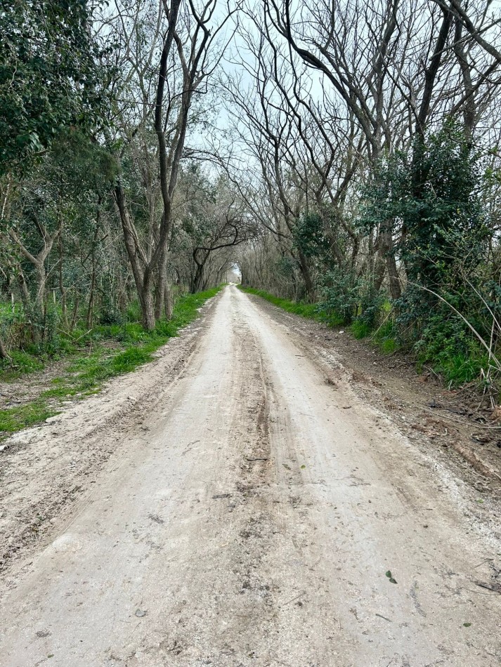 Lote en Venta - Los Hornos - La Plata