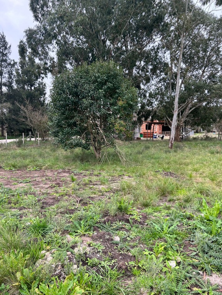 Lote en Venta - Los Hornos - La Plata