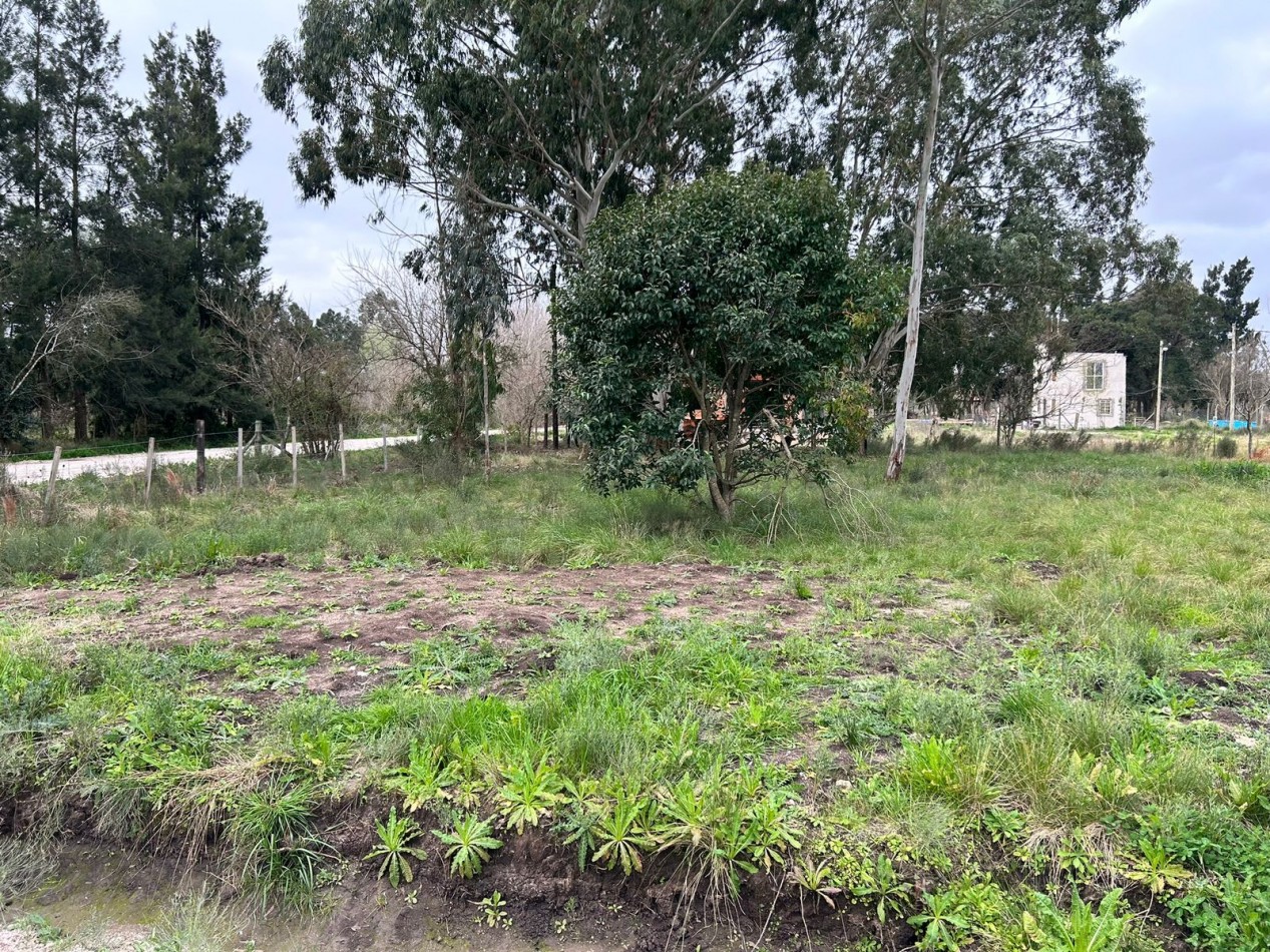 Lote en Venta - Los Hornos - La Plata