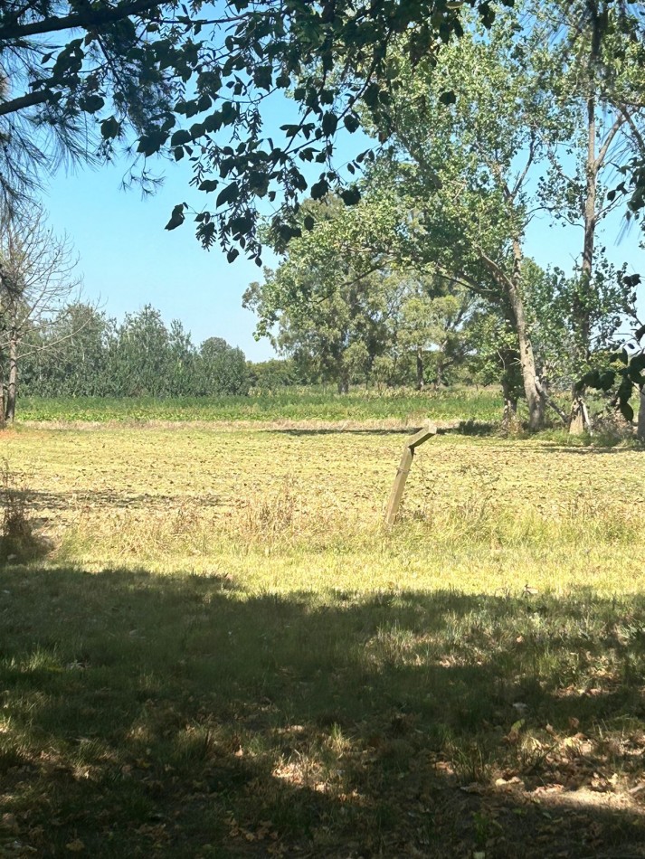 Campo 5 Hectareas en Venta - La capilla - Florencio Varela