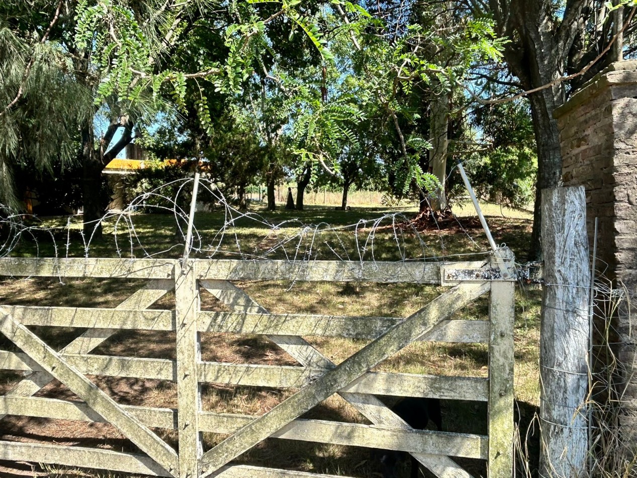 Campo 5 Hectareas en Venta - La capilla - Florencio Varela