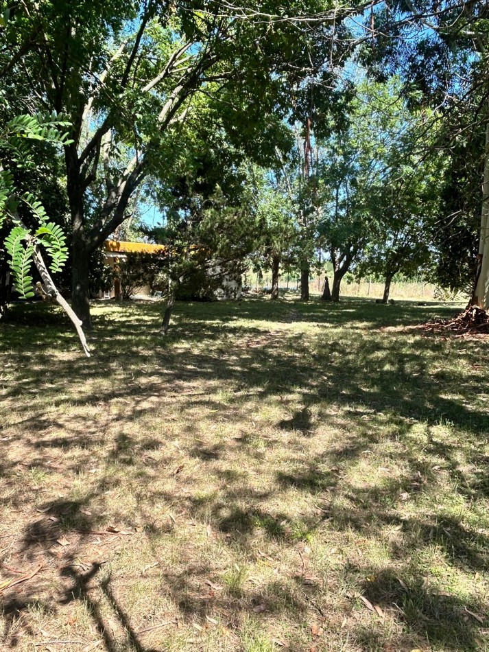 Campo 5 Hectareas en Venta - La capilla - Florencio Varela