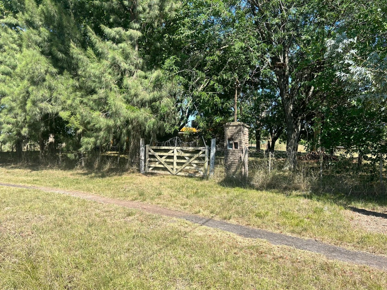 Campo 5 Hectareas en Venta - La capilla - Florencio Varela