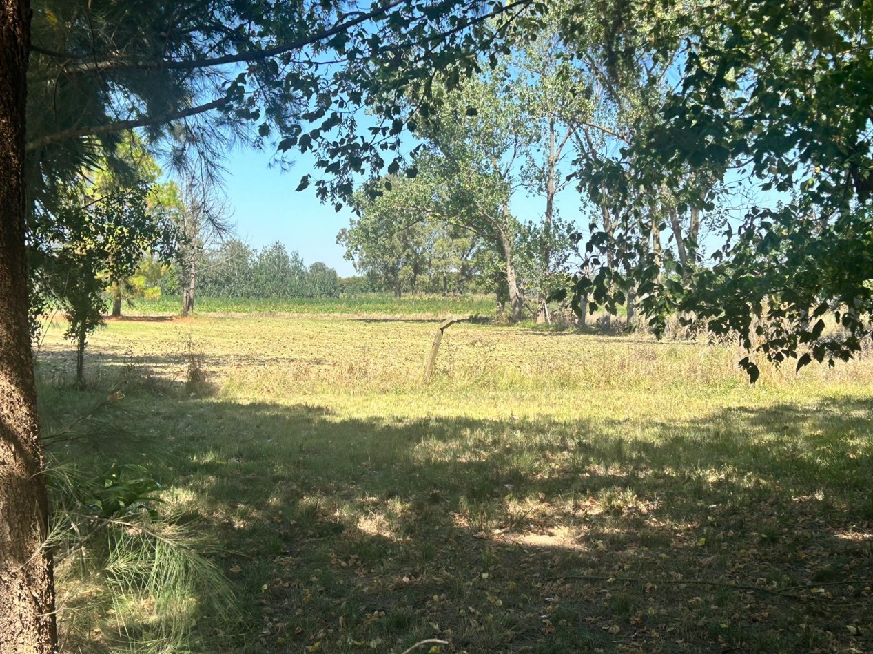 Campo 5 Hectareas en Venta - La capilla - Florencio Varela