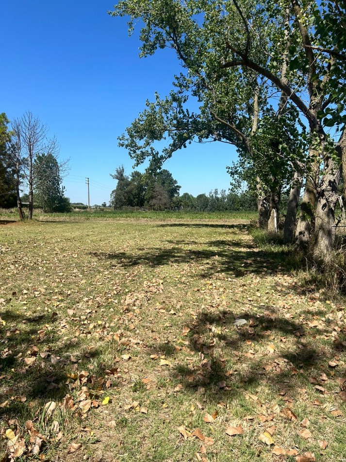 Campo 5 Hectareas en Venta - La capilla - Florencio Varela