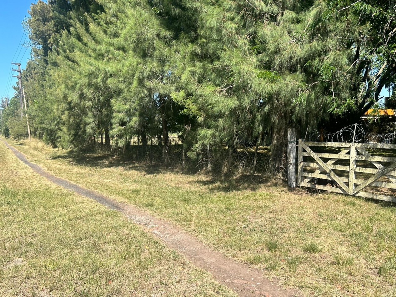 Campo 5 Hectareas en Venta - La capilla - Florencio Varela
