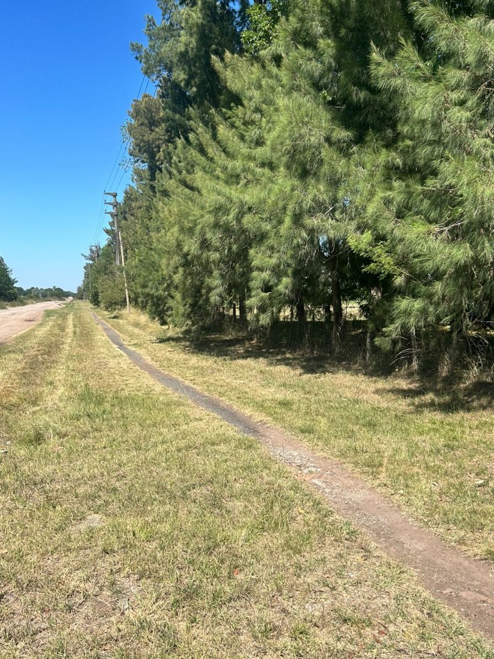 Campo 5 Hectareas en Venta - La capilla - Florencio Varela