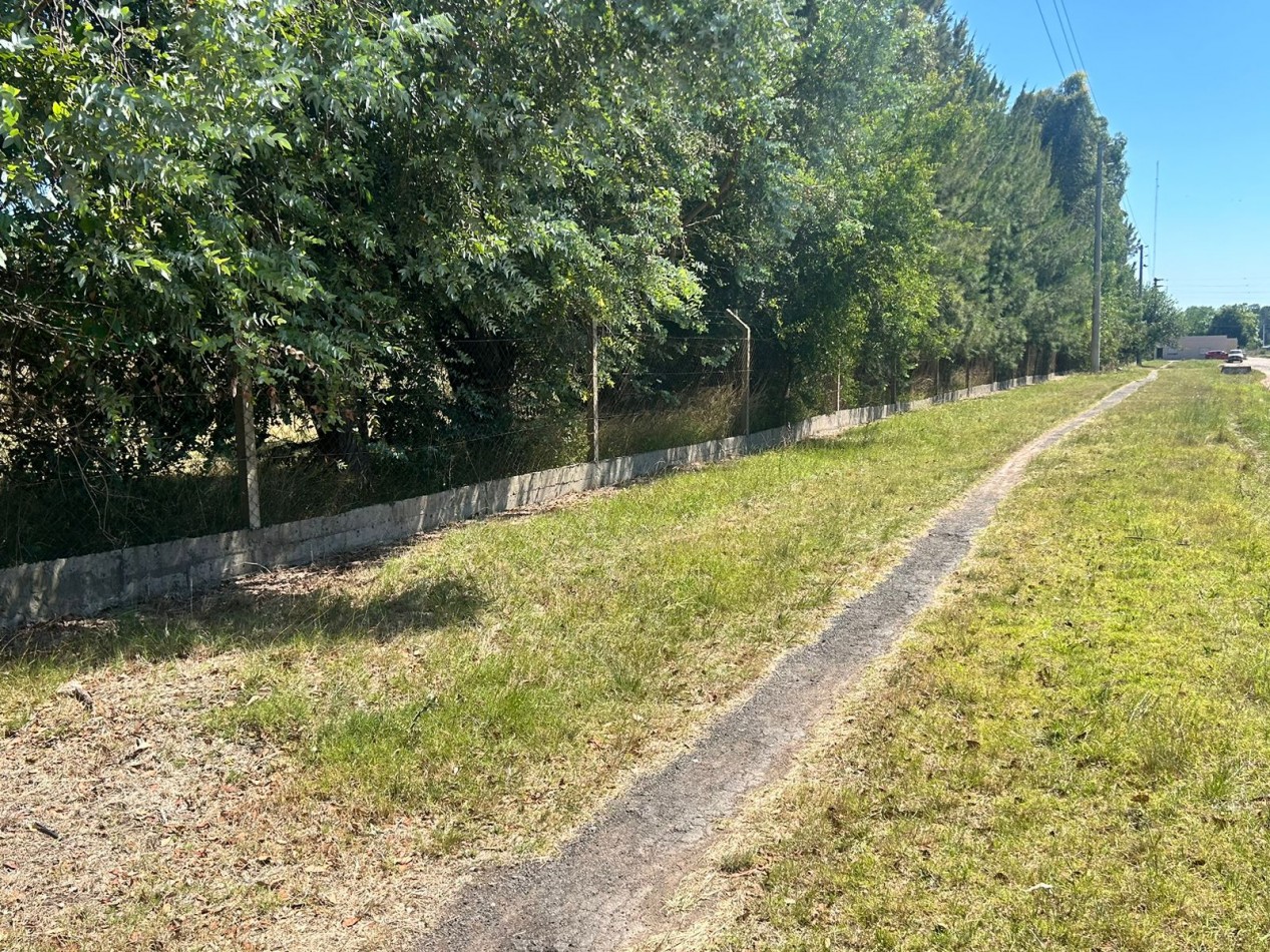 Campo 5 Hectareas en Venta - La capilla - Florencio Varela