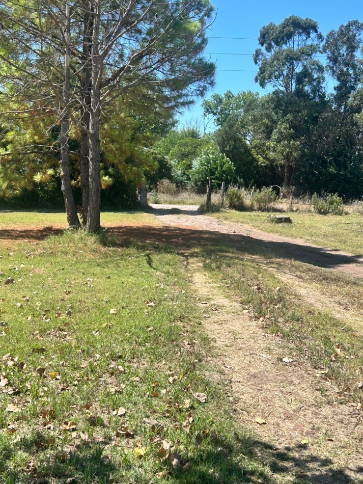Campo 5 Hectareas en Venta - La capilla - Florencio Varela