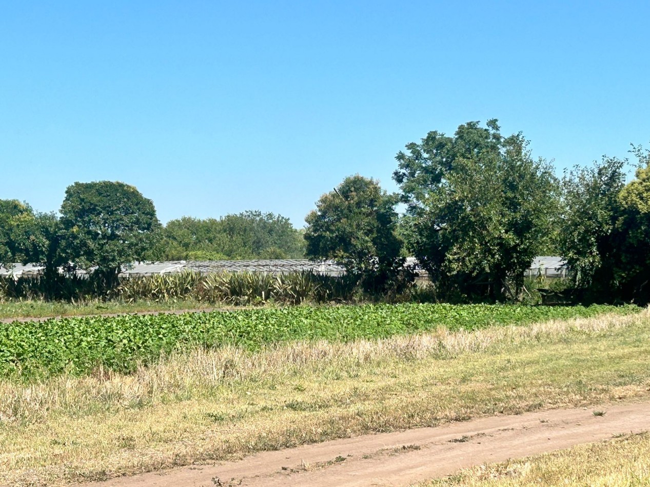 Campo 5 Hectareas en Venta - La capilla - Florencio Varela