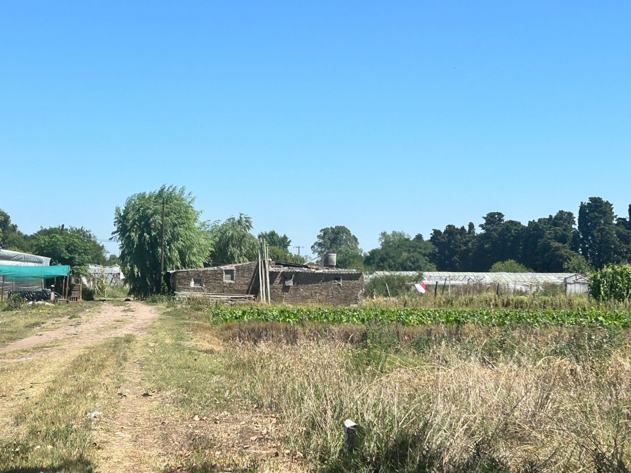 Campo 5 Hectareas en Venta - La capilla - Florencio Varela