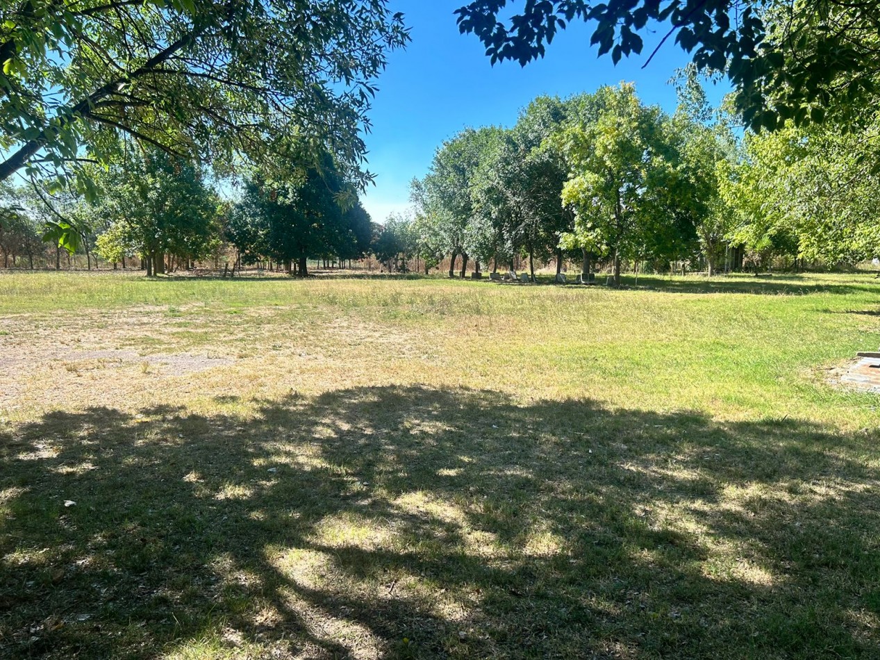 Campo en venta - La Capilla - parcelas o todo completo