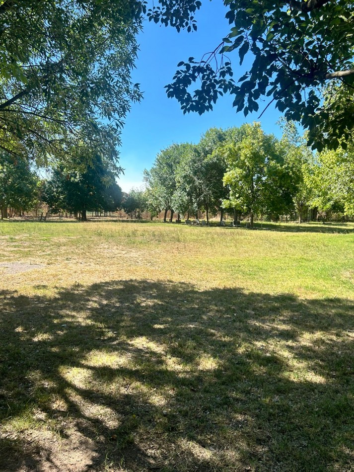 Campo en venta - La Capilla - parcelas o todo completo