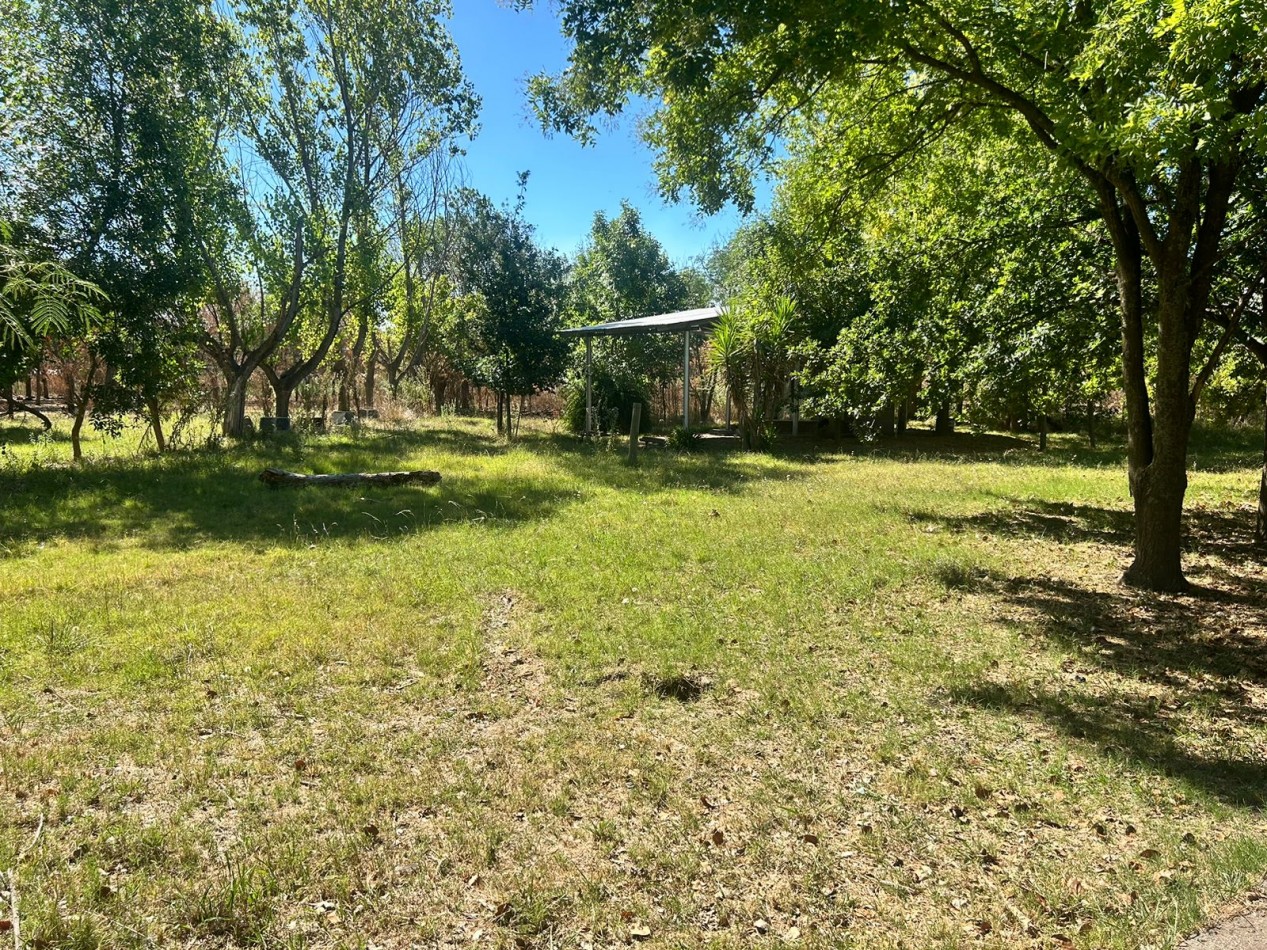 Campo en venta - La Capilla - parcelas o todo completo