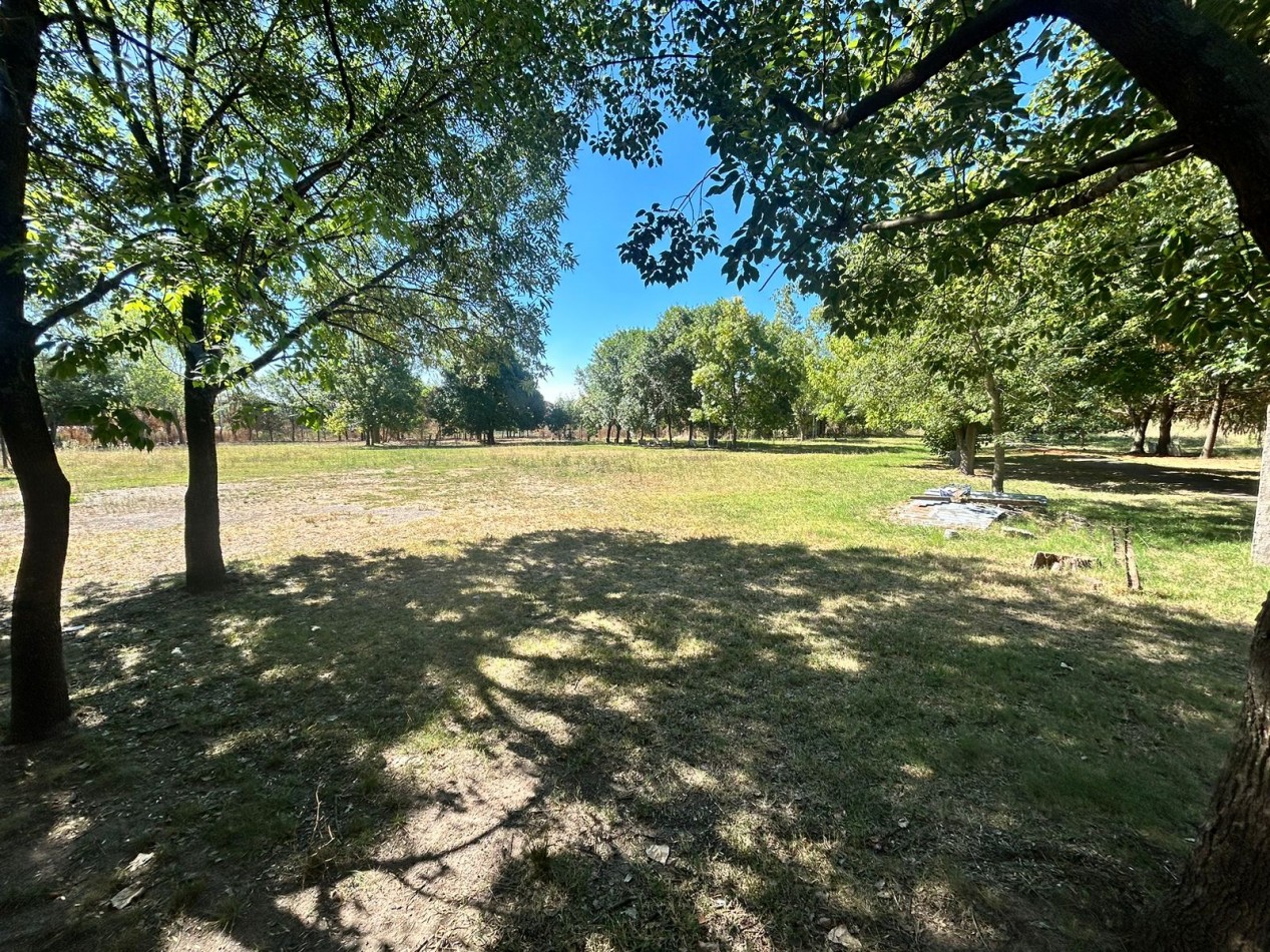 Campo en venta - La Capilla - parcelas o todo completo