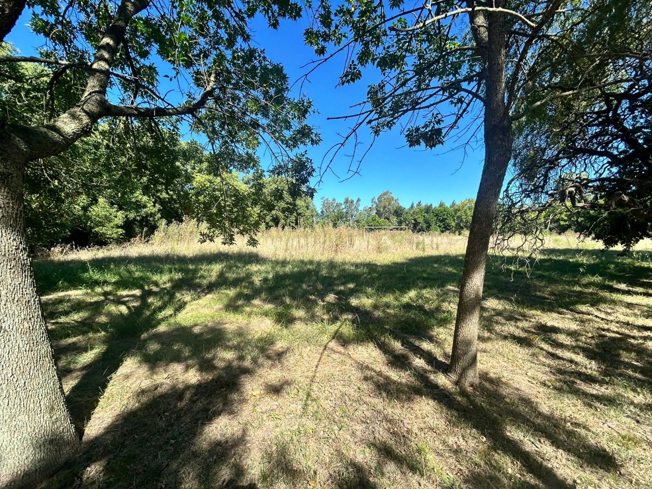 Campo en venta - La Capilla - parcelas o todo completo