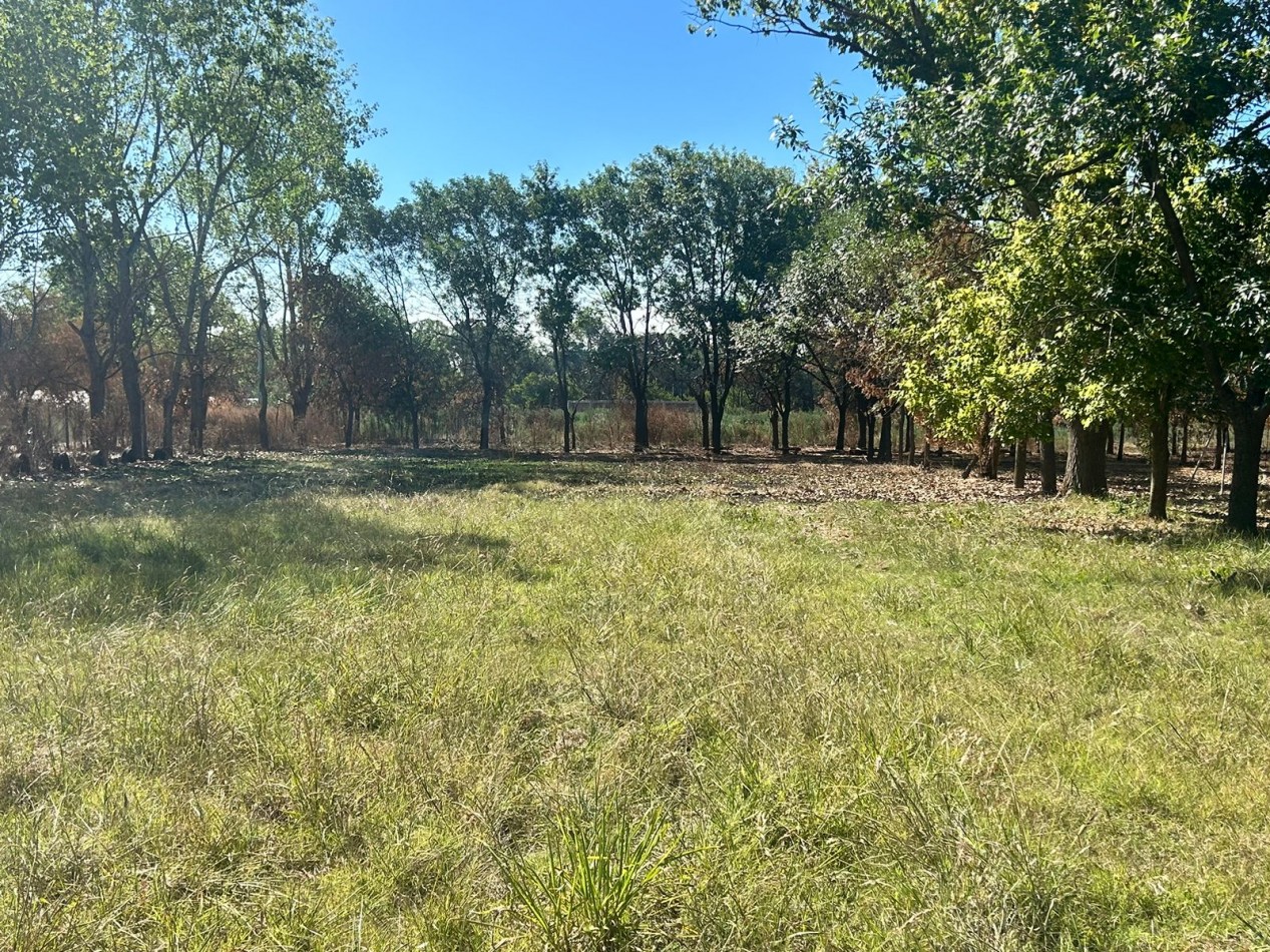 Campo en venta - La Capilla - parcelas o todo completo