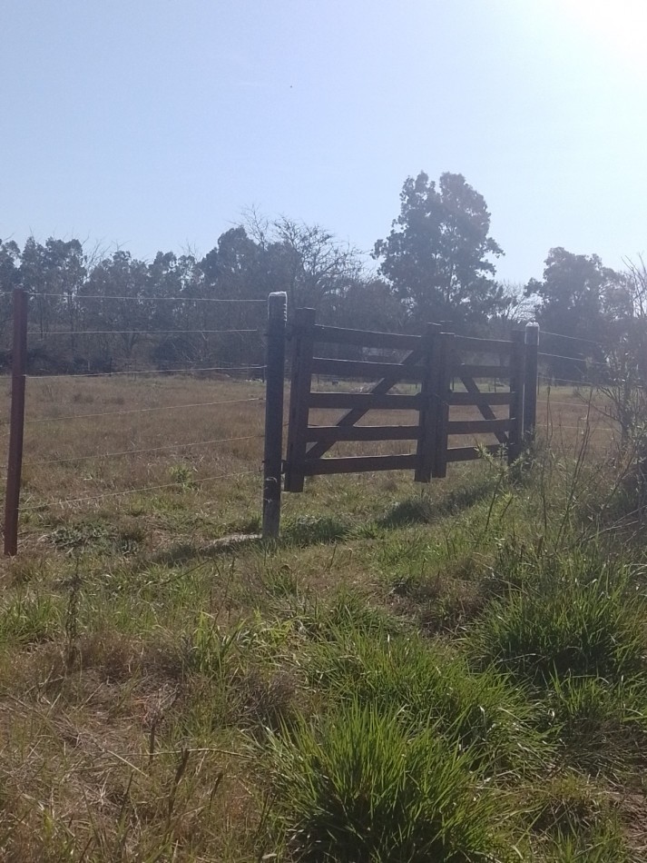 Lote en venta - Brandsen