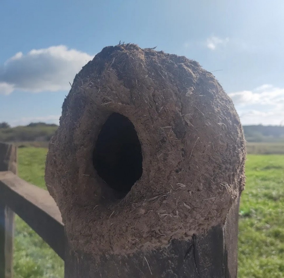 Lote en venta - Brandsen