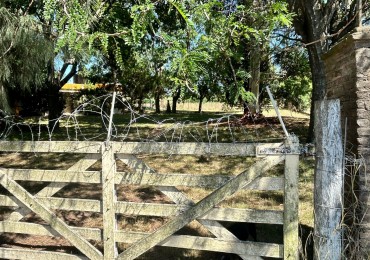 Campo 5 Hectareas en Venta - La capilla - Florencio Varela